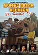 Spring Break Reunion: The Rockin' Era by Spring Break Reunion: The ...