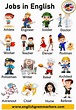 Jobs and Occupations Names with Pictures in English - English Grammar Here