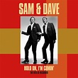 Hold On, I'm Comin' (The Hits Re-Recorded) | Sam & Dave