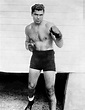 Jack Dempsey Boxer - Wiki, Profile, Boxrec