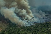 Greenpeace captures images of fires in the Amazon - Greenpeace ...