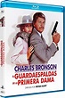 El guardaespaldas de la primera dama [Blu-ray]: Amazon.es: Charles ...