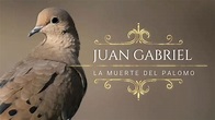 Juan Gabriel - la muerte del palomo (letra) - YouTube Music