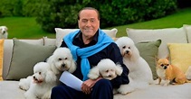 Silvio Berlusconi, Dudù e tutti i cani amati dal Cavaliere