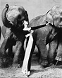 Fotografía 101..."Dovima con elefantes"