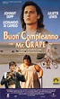 Buon compleanno Mr. Grape (1993) Hallström - Recensione | Quinlan.it