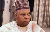 The portrayals of Kashim Shettima, by Sylvester Oseghale — Daily Nigerian