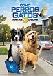 Ver Como perros y gatos 3: ¡Patas unidas! (2020) HD 1080p [Latino ...