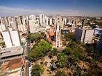 Vista aérea da cidade de ribeirão preto em são paulo, brasil | Foto Premium