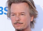 A Closer Look at the David Spade's Hair - Hair System