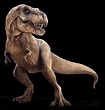 Tiranossauro Rex Dinossauros Animais Infoescola - vrogue.co