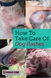 How To Take Care Of Dog Rashes? - Doggie Cube | Dog rash, Dog care, Dog ...
