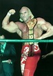 Daily Pro Wrestling History (4/30): Superstar Billy Graham wins WWWF ...