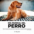 Conoce Saltillo: 21 de Julio: Día Mundial del Perro