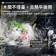氣象局揭未來10天天氣 專家曝下次颱風潮最快時間 | 生活 | 三立新聞網 SETN.COM