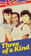 Three of a Kind (TV Series 1981–1983) - IMDb
