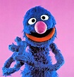 Grover - Muppet Wiki