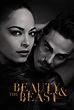 Beauty and the Beast (2012) - TheTVDB.com