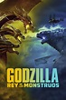 Ver Godzilla 2: El rey de los monstruos (2019) online Español Latino