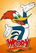 The New Woody Woodpecker Show - TheTVDB.com