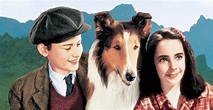 Torna a Casa Lassie la trama del film stasera in tv su Rai Movie ...