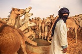 Mauritania - Into the Adrar — Mitchell Kanashkevich - Traditions ...