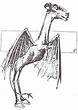 澤西惡魔 - 维基百科，自由的百科全书