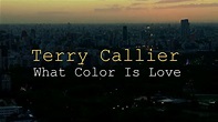 Terry Callier - What Color Is Love - YouTube