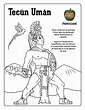 Resultado de imagen para dibujo tecun uman | Science for kids, Aztec ...