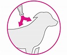 FRONTLINE TRI-ACT Hund | Schützt deinen Hund schon vor dem Stich