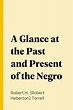 [PDF] A Glance at the Past and Present of the Negro de Robert H ...