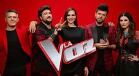 'La Voz 2020' ya tiene ganador: Así es la gran novedad de la edición ...