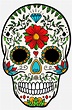 Big Image - Day Of The Dead Skull Cartoon - 1572x2332 PNG Download - PNGkit