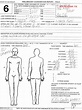 Paul Walker Autopsy Sketch – Unveiling Intriguing Details - ABCD Online