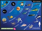 Los ecosistemas marino | Actualizado abril 2024