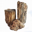Petrified Wood (Stone) - McMerwe - Online Shop - South Africa