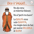 Il Saggio dice la sua su MilleMila #Follower | Saggio, Target, Follower