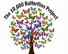 Pick a Lane - 10,000 Butterflies Project
