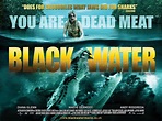 Black Water (#2 of 2): Extra Large Movie Poster Image - IMP Awards