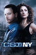 CSI: Nueva York (serie 2004) - Tráiler. resumen, reparto y dónde ver ...