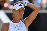 Tennis. US Open : sans visa, Kristina Mladenovic n'est pas sûre de ...