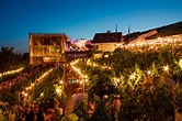 Veranstaltung Wein am Stein - Würzburg - 12.07.2023 bis 29.07.2023 ...