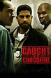 Caught in the Crossfire (2010) — The Movie Database (TMDB)