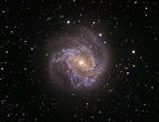 Galaxia Espiral M83: El Molinillo Austral