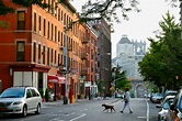 The Historic Charm of Brooklyn Heights - The New York Times