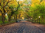 Parque Central de Nueva York
