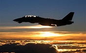 F-14 Tomcat - Avion de combate - Fondos de Pantalla HD - Wallpapers HD