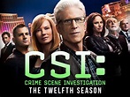 Prime Video: CSI: Crime Scene Investigation - Season 12