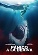 The Requin: Ataque de tiburones - película: Ver online
