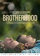 Trois frères, un père et le djihad - Film documentaire 2021 - AlloCiné